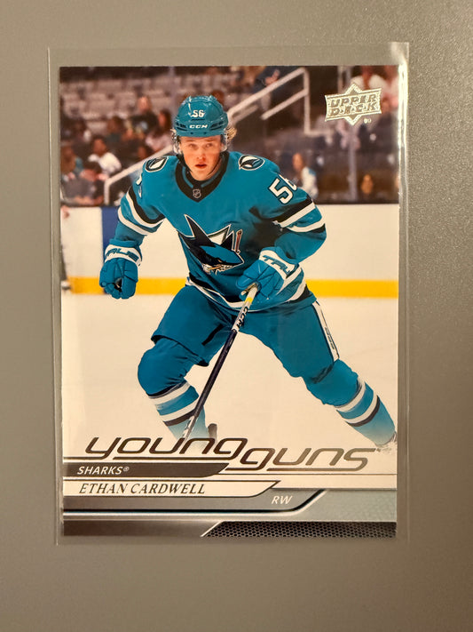 2024-25 Series Two Young Guns Ethan Cardwell RC 459 Sharks